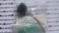 20190423_123307.jpg