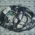 065733 Merlo wiązka elektryczna  (2).jpg