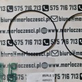 020221 Merlo oring (2).jpeg