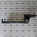 118456 Merlo panel (2).jpg