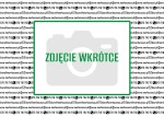010844AA_102831 MERLO kołnierz skrzynia 