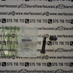 013216AA_136642_ MERLO śruba mechanizm różnicowy
