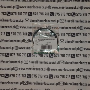 006085AA MERLO oring 