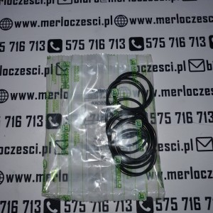 006650AA MERLO Oring OR montaż silnika i pompy  