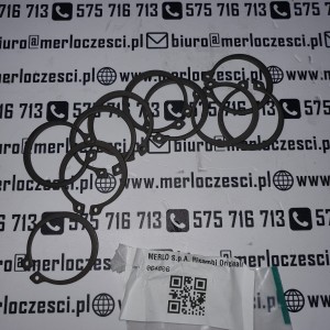 064806 MERLO seger 