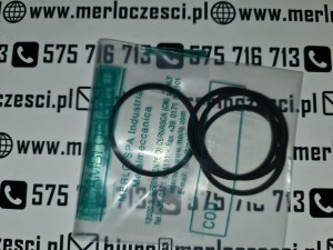 003421AA MERLO uszczelka 