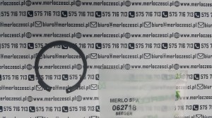 062718 MERLO seeger 