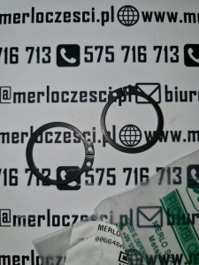 006646AA MERLO seeger