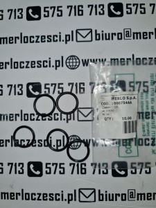 000754AA MERLO oring 