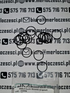 020908 MERLO oring 