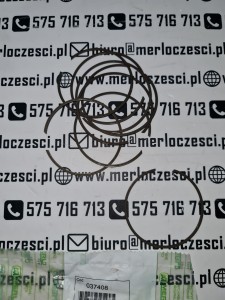  037408 MERLO Seeger Uszczelniacz simering simmerring SeegerRING zimering