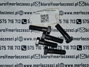 850993 MERLO śruba 