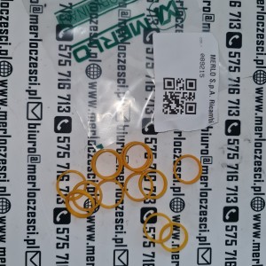 089215 Merlo uszczelka 