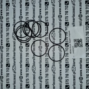 000856AA Merlo oring 