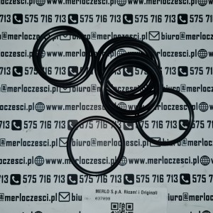 037099 Merlo oring 
