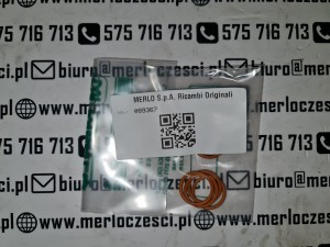 089367 Merlo oring 