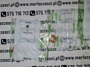 089366 Merlo oring 