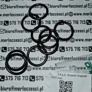 002510AA Merlo oring 