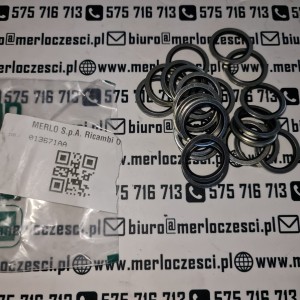 013671AA Uszczela metalowo gumowa 