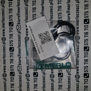 057023 Merlo oring 