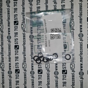 057022 Merlo oring 