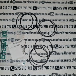 025459 Merlo oring 