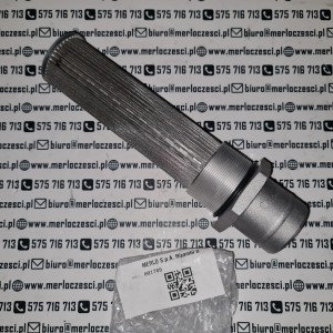 081709 Merlo filtr 