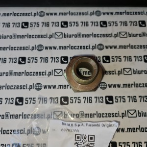 007817AA Merlo redukcja 