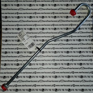 105307 Merlo rura 