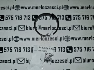001351AA Merlo uszczelka 