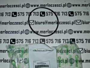 000968AA Merlo oring 
