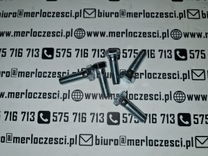 850235 Merlo śruba 
