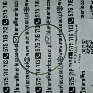039088 Merlo oring