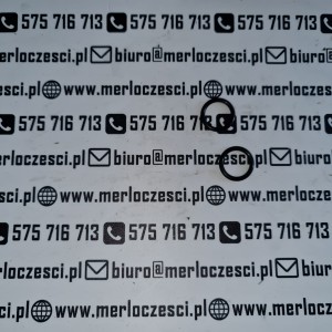 002484AA Merlo oring 