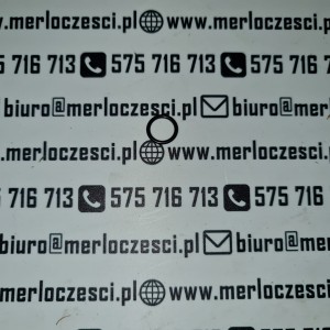 091467 Merlo oring 