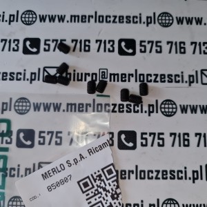 850807 Merlo kołek 