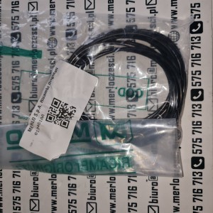 013461AA Merlo oring 