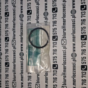 050401 Merlo oring 