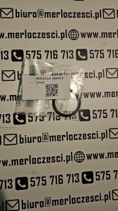 038081 Merlo oring 