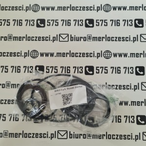 107796 Merlo seal kit