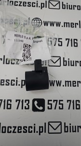 111346 Merlo cewka 