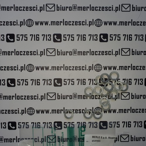850989.jpg
