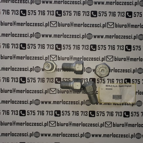 850956.jpg