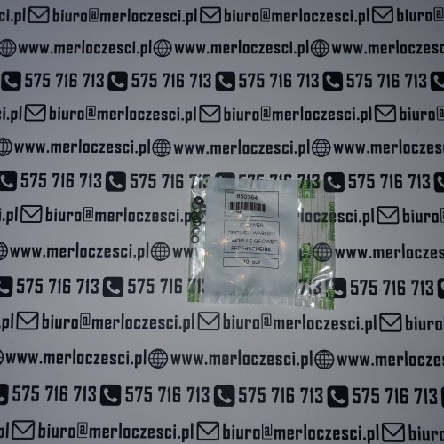850764.jpg