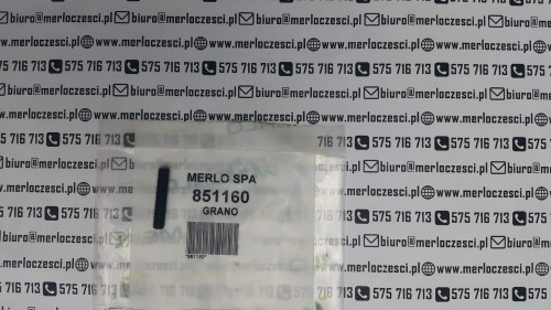 851160.jpg