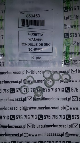 850450.jpg