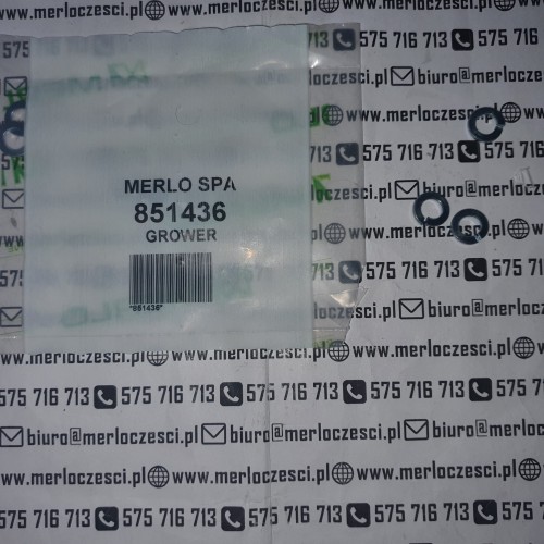 851436.jpg