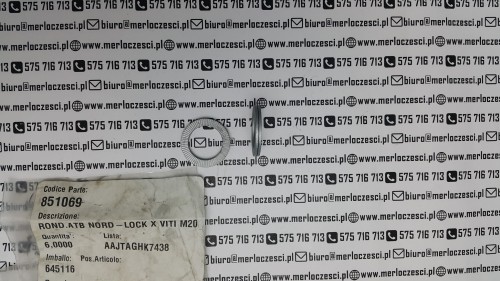 851069.jpg