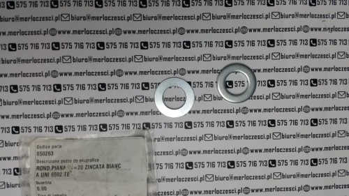850263.jpg