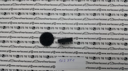 103751.jpg